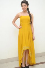 Pranitha at Alludu Seenu Audio Launch